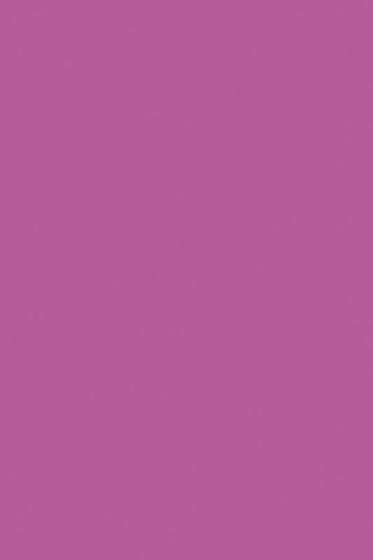 U404 ST9 Крокус фиолетовый
